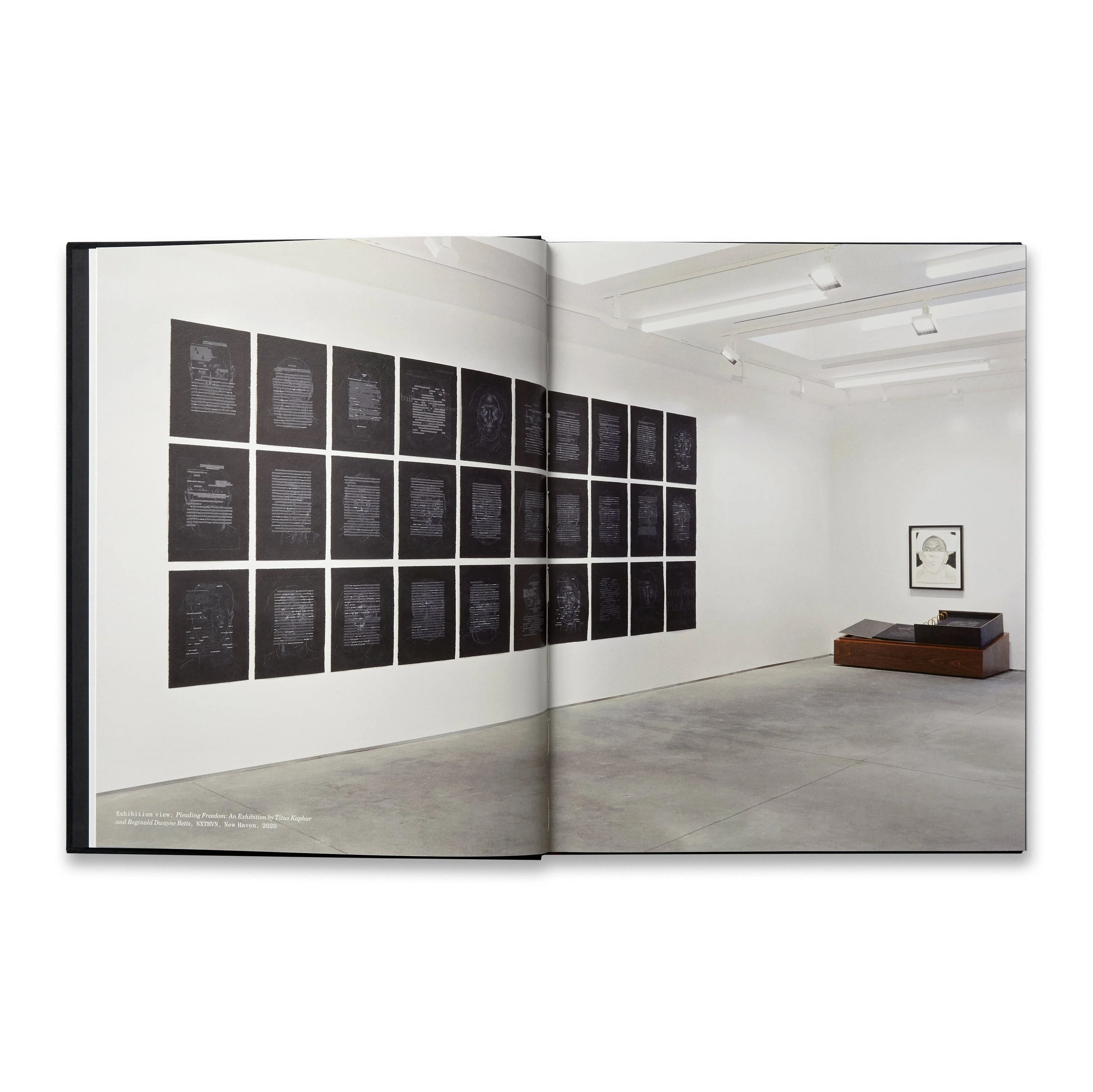 Titus Kaphar and Reginald Dwayne Betts: Redaction - Image 3