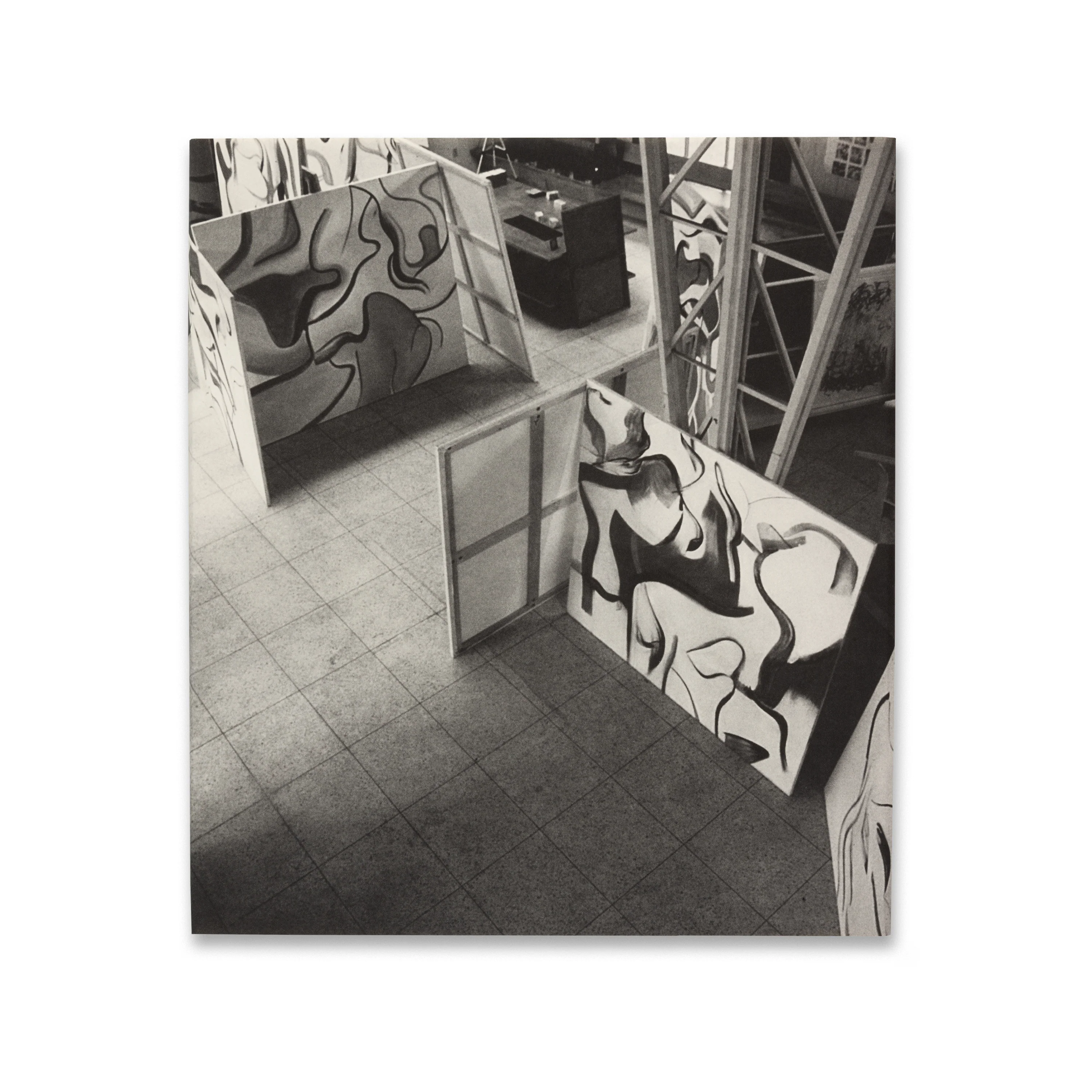 Willem de Kooning: The Last Beginning