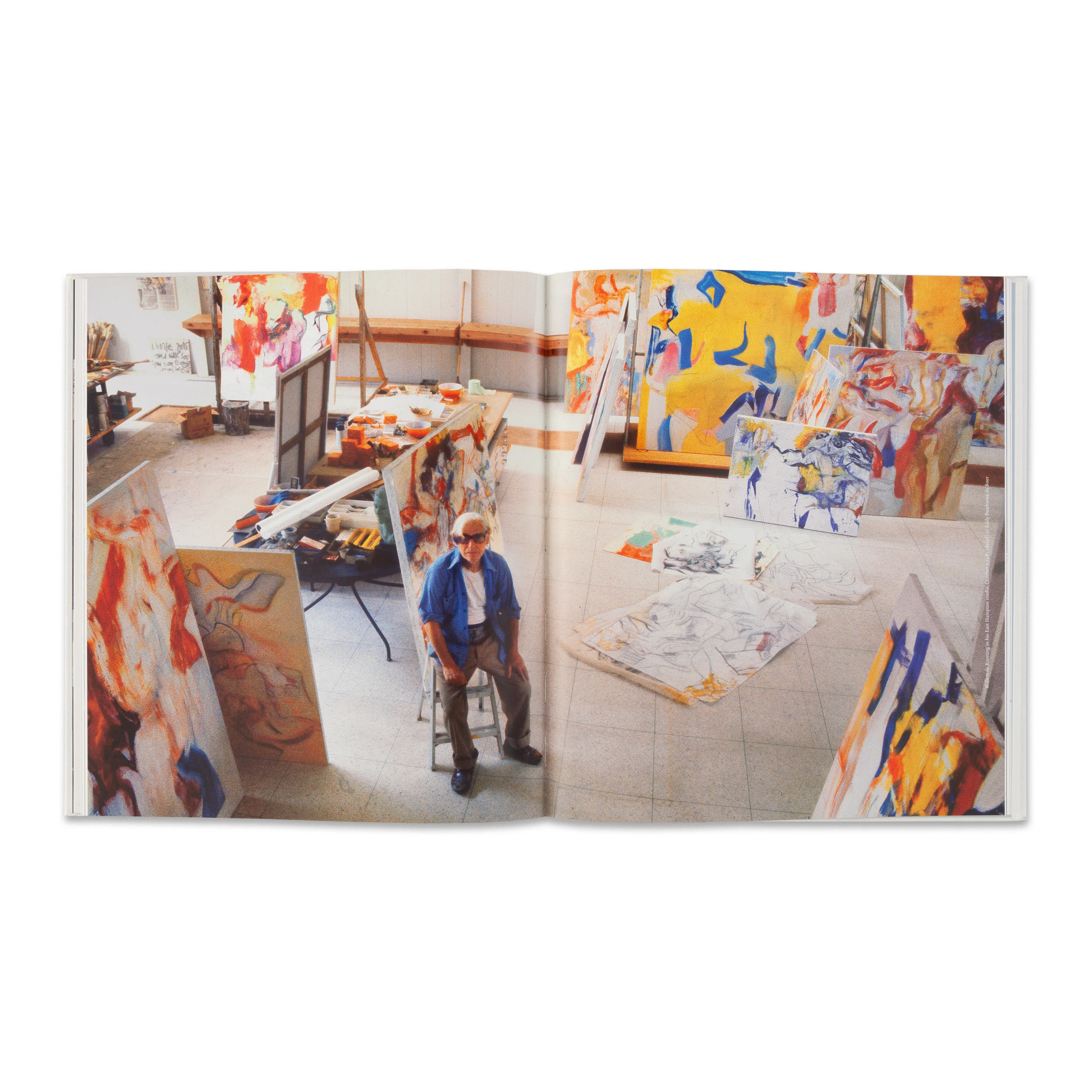 Willem de Kooning: The Last Beginning - Image 3