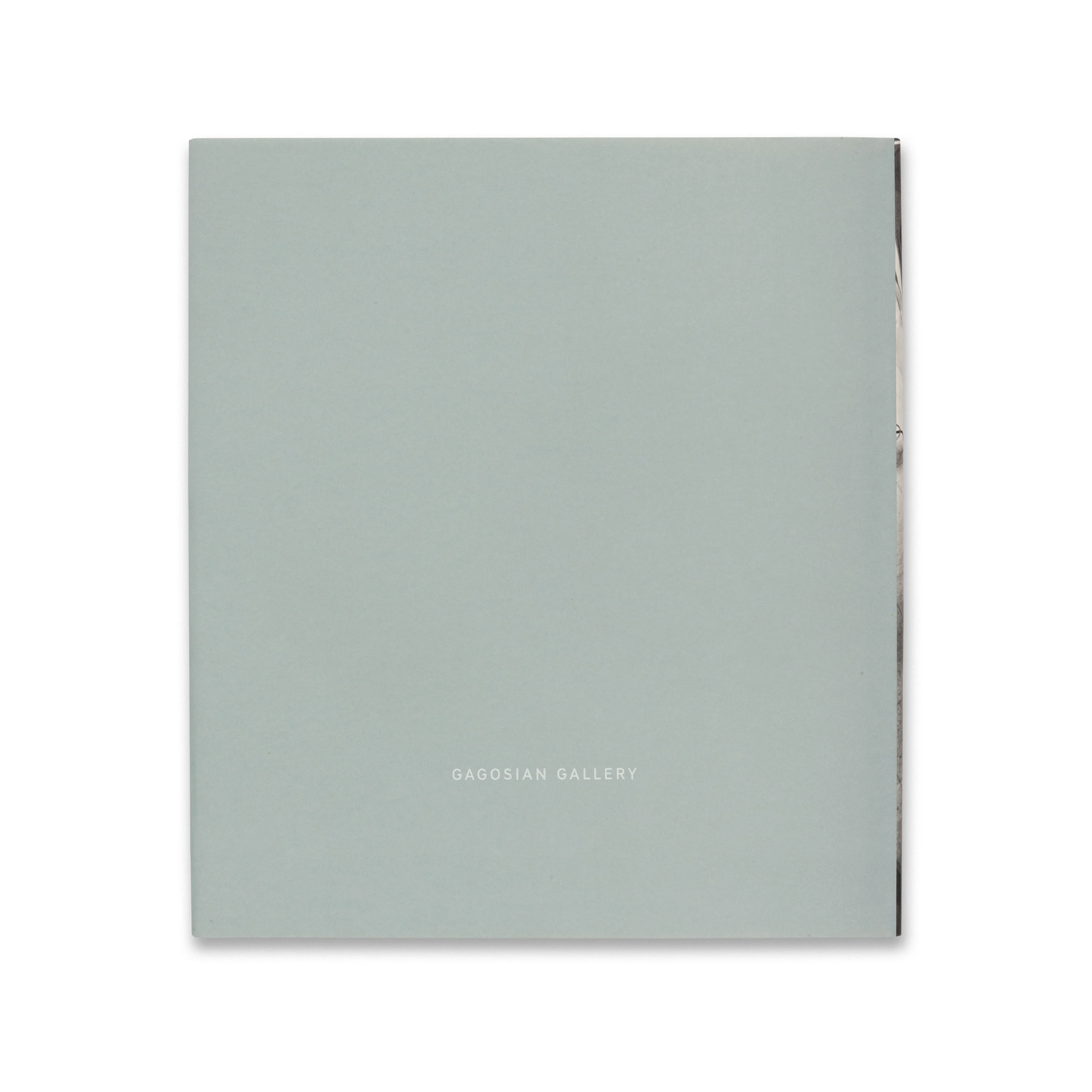 Willem de Kooning: The Last Beginning - Image 5